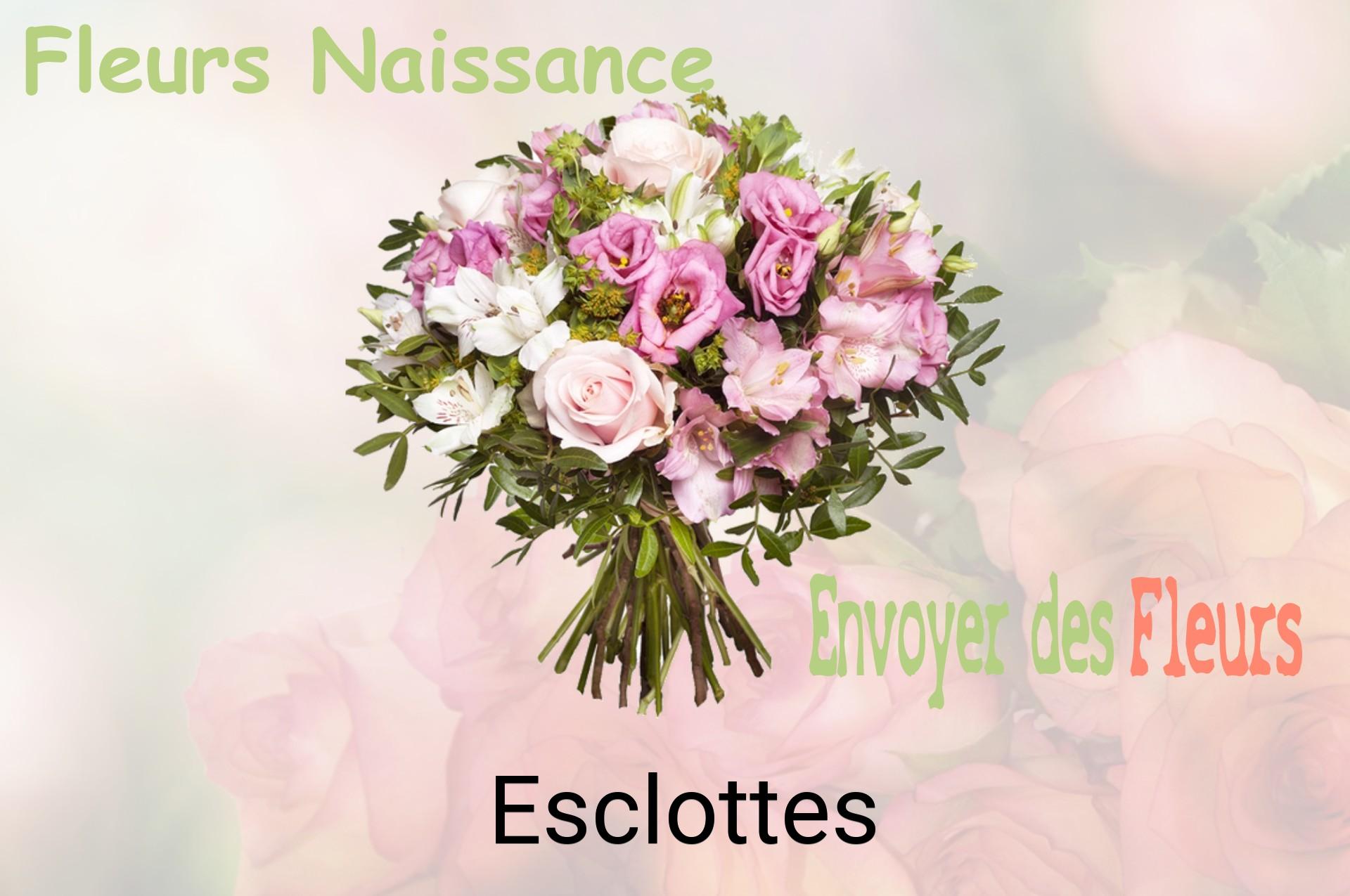 Bouquet de fleurs de naissance livré à Esclottes