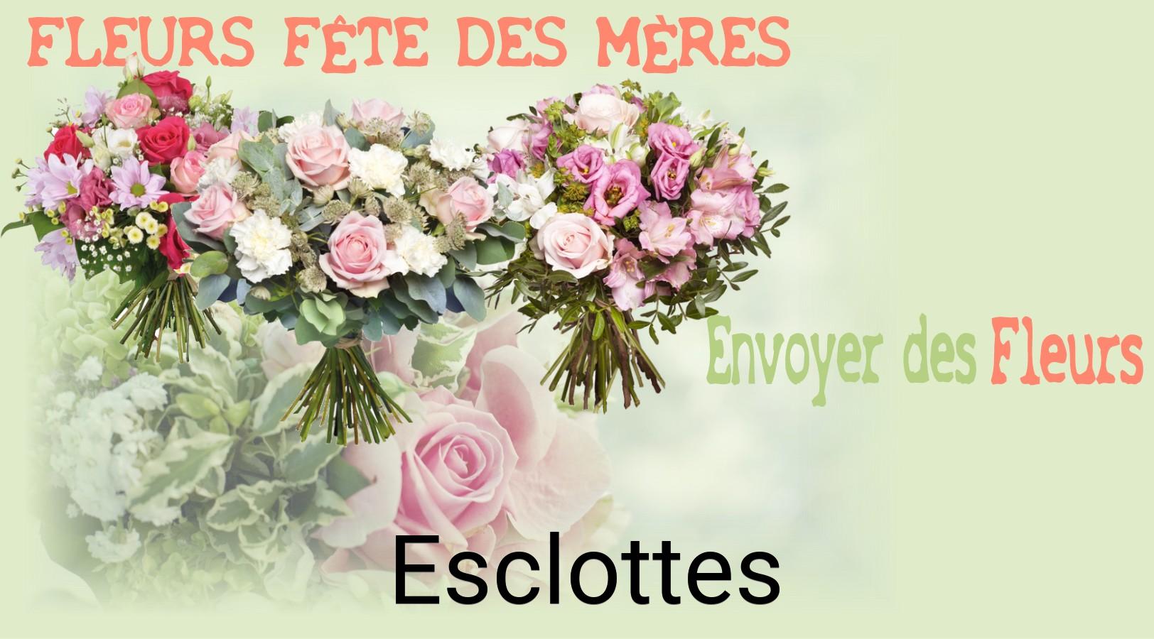 Bouquet de Fête des Mères livré à Esclottes